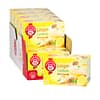 Teekanne Ginger Lemon inkivääri-sitruuna yrttihauduke - Image 2